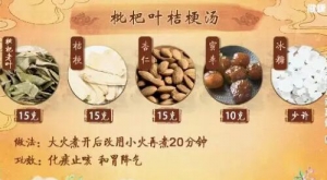 《健康之路》20190317《中药传言辨真假》(四)枇杷叶桔梗汤
