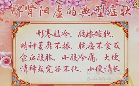 养生堂20190331肾阳虚,血瘀,真武汤,肺肾两虚,脾肾阳虚