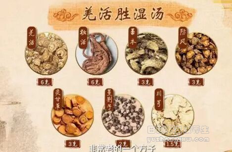 羌活胜湿汤