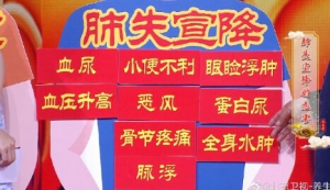 《养生堂》20190502肺失宣降,心脾阳虚,肾阳虚,消肿煎