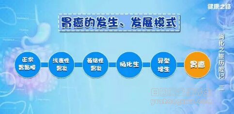 《健康之路》20190504正确认识常见的几种胃部炎症，科学防治胃部隐患