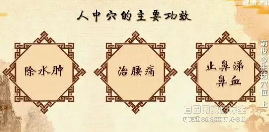 《健康之路》20190513《前世今生话穴位》（上）百会穴,人中穴