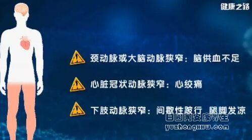 《健康之路》20190515心脑血管的致病元凶这篇文章全聚齐了！