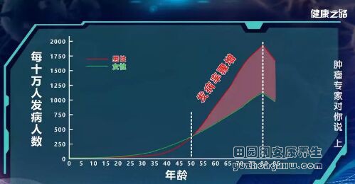 《健康之路》20190517权威肿瘤专家送你防癌3句话