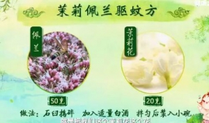 《健康之路》20190608自制效果惊人的5个中药驱蚊方