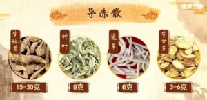 《健康之路》20190622导赤散,肾阴虚,肾阳虚,凉血止血,清心热,补肾