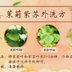 《健康之路》20190806茉莉豆腐汤,茉莉紫苏水,雪梨蔷薇饮,薄荷陈皮饮
