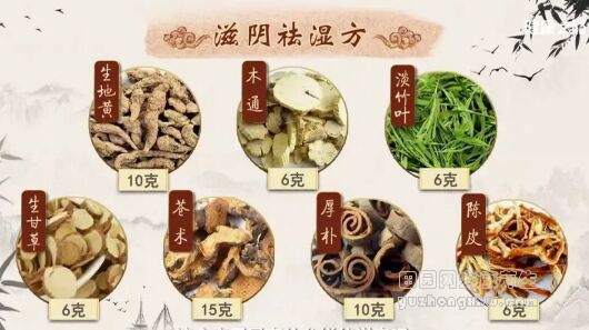 滋阴祛湿方