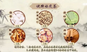 《健康之路》20191024痰湿体质,腰臀比,穴位保健,健脾祛痰茶,低通气综合征