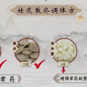 息肉,瘀血,痰湿,祛痰散瘀调体方,甲状腺结节,消瘿外敷散