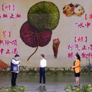 《《养生堂》》从百草园到《养生堂》——水塘中的长寿果