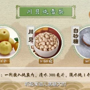 《健康之路》梨膏茶,小吊梨汤,柠檬秋梨膏,桑杏汤