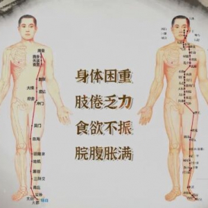 《健康之路》付国兵讲如何打通脾经、胃经易堵点？