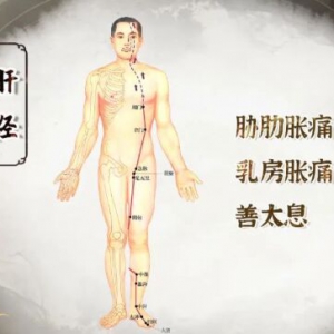 《健康之路》付国兵讲疏通肝经缓解胁肋胀痛、爱叹气
