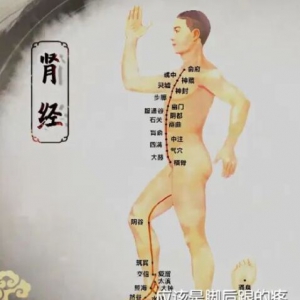 《健康之路》付国兵讲打通肾经，补肾强肾！