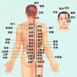 《健康之路》付国兵讲打通膀胱经的易堵点