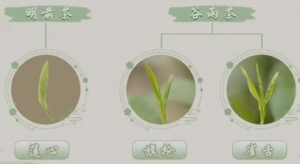《健康之路》钱会南讲谷雨时节蕴藏哪些养生之道？