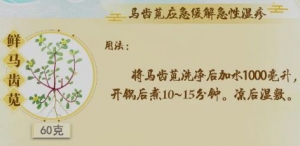《健康之路》孙丽蕴讲鲜药一招搞定晒伤、湿疹、长痱子