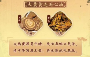 《健康之路》陈明讲经方,半夏干姜散,大黄甘草汤,大黄黄连泻心汤
