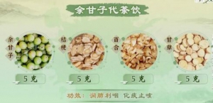 《健康之路》赵鲁卿,詹志来,酸味药,余甘子,金樱子,五味子,余甘子代茶饮,敛肺止咳方,余甘清热饮