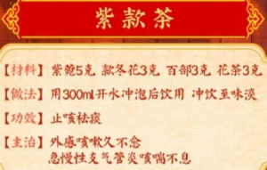 《养生堂》王成祥,桔杏君子汤,祛痰药,梗杏君子汤,补肺汤,紫款茶,紫参茶