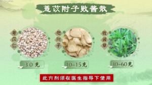 《健康之路》王雪茜,詹志来,苦味野菜,蒲公英,败酱草,紫地花丁