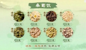 《健康之路》吴向红,詹志来,桑菊饮,枸杞菊花茶,除烦花茶,二花二术饮,四花解郁汤