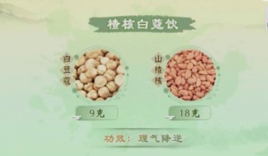 《健康之路》张雪亮,詹志来,白豆蔻,白苏子,白芷,辛味药材,楂核白蔻饮,寇仁健胃茶,三子养亲汤,白芷荆芥茶
