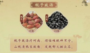 《健康之路》经方,栀子豉汤,半夏干姜散,百合地黄汤,酸枣仁汤,甘麦大枣汤