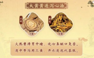 《健康之路》经方,大黄黄连泻心汤,猪肤汤,当归贝母苦参丸,泽泻汤,枳术汤