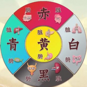《健康之路》针灸,诊脉,舌诊,舌象,脉象,三部九候,伤寒金镜录