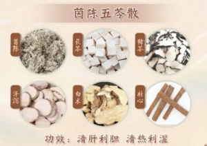 《健康之路》王挺,出汗,当归六黄汤,茵陈五苓散,竹叶石膏汤