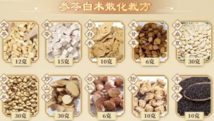 《健康之路》张景明,慢性腹泻,肠道过敏,祛风药,参苓白术散化栽方,紫苏二米粥