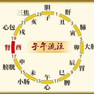 《健康之路》别再乱吃药！身体自带4味“免费中药”